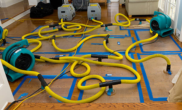 Professional Sewage Cleanup technician working in Chase, PA